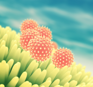 Pollen-Taxi für Bakterien